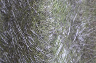 Brackenthwaite fibreglass roof work